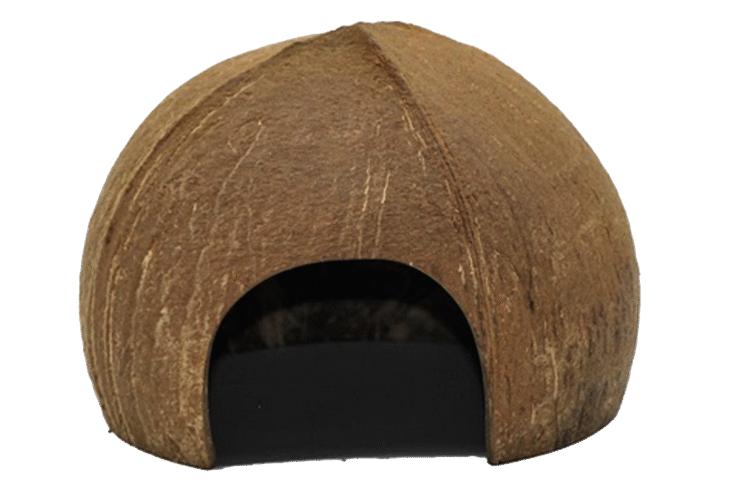 Coconut Play House