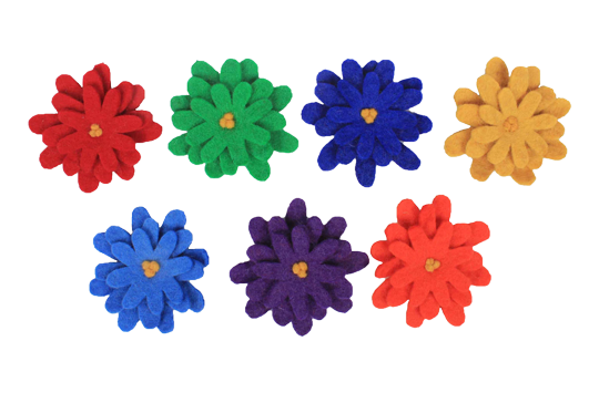 Aster Flowers Rainbow 7pc