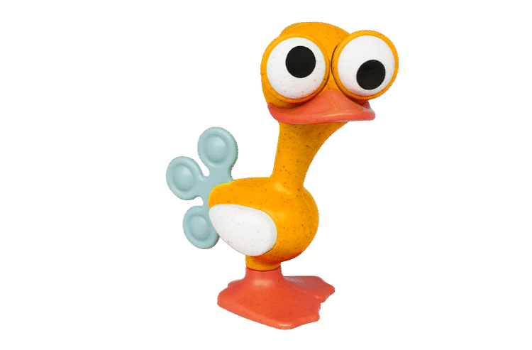 Crazy Eyed Bird