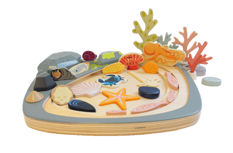 Rock Pool Set