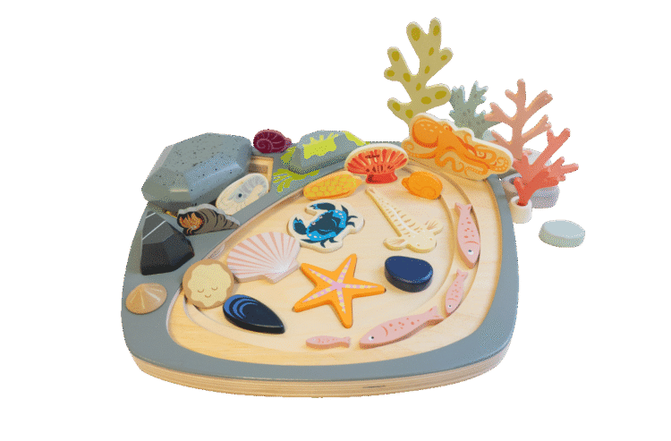Rock Pool Set
