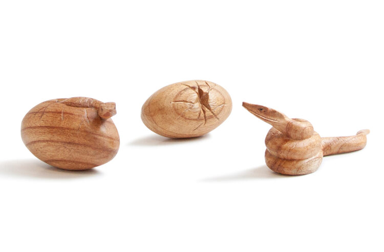Wooden Snake Life Cycle 3pc