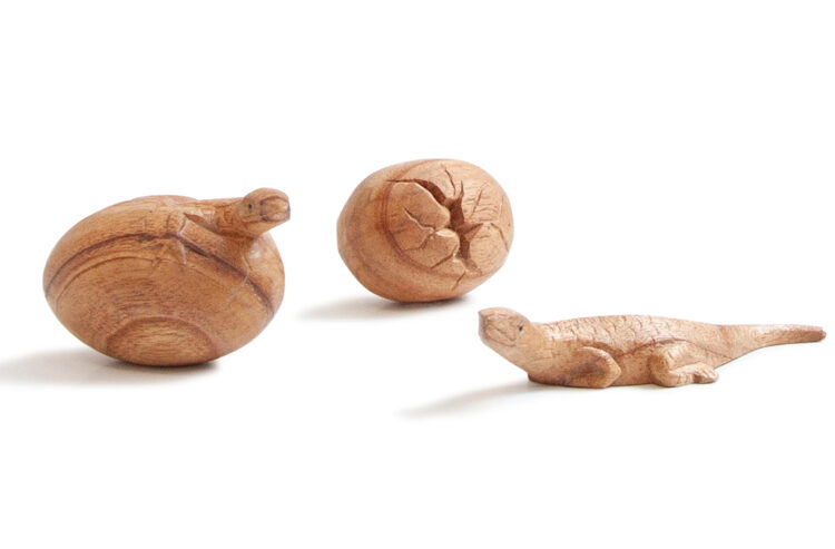 Wooden Lizard Life Cycle 3pc