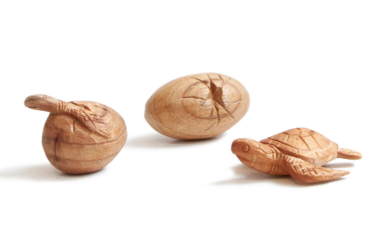 Wooden Turtle Life Cycle 3pc