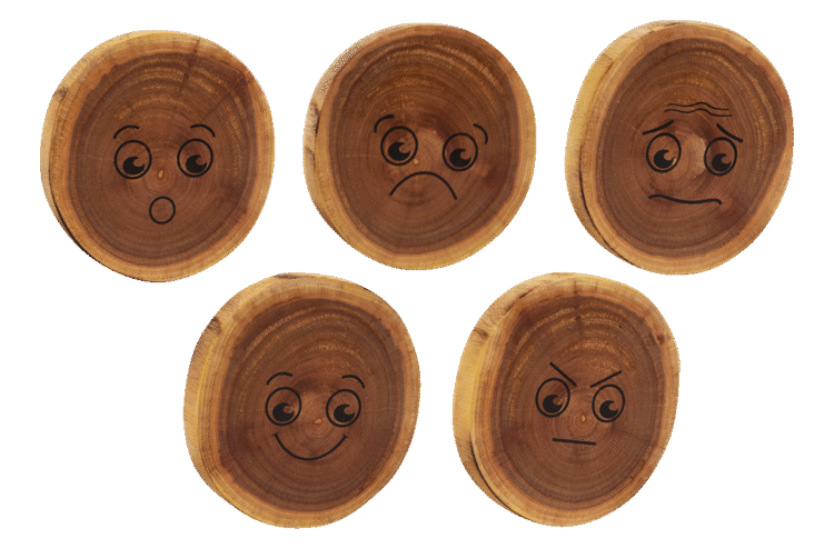 Mood Slices