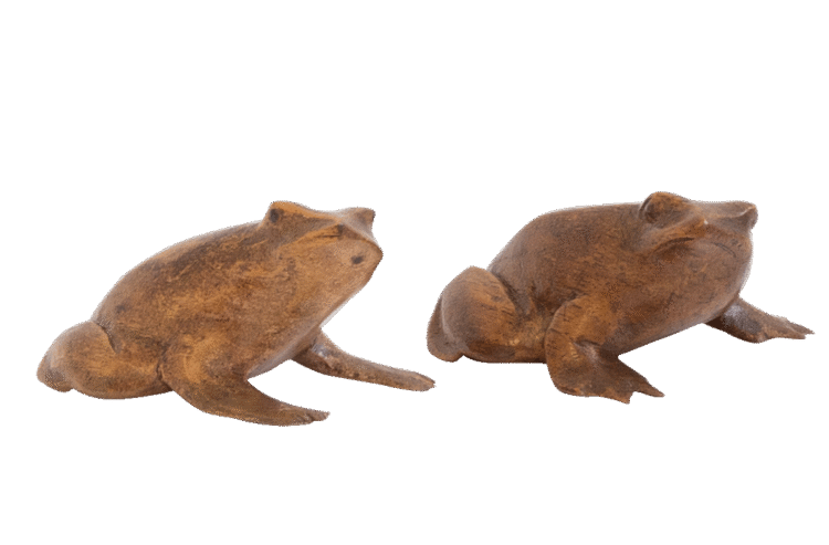 Frog 2pc