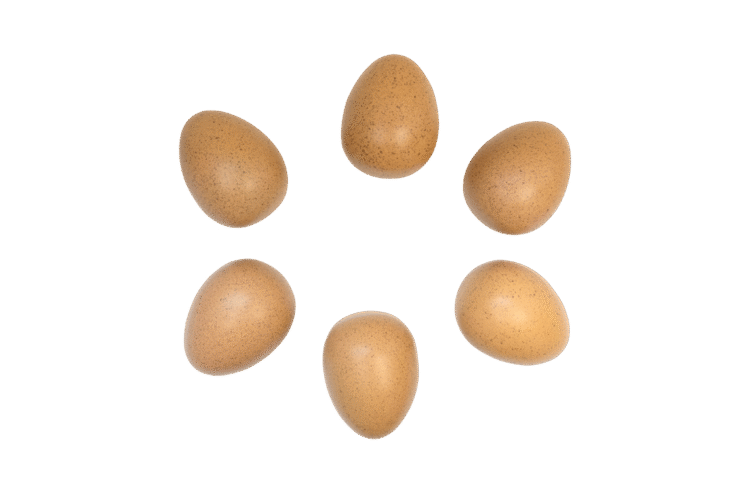 Sensory Sound Eggs 6pc