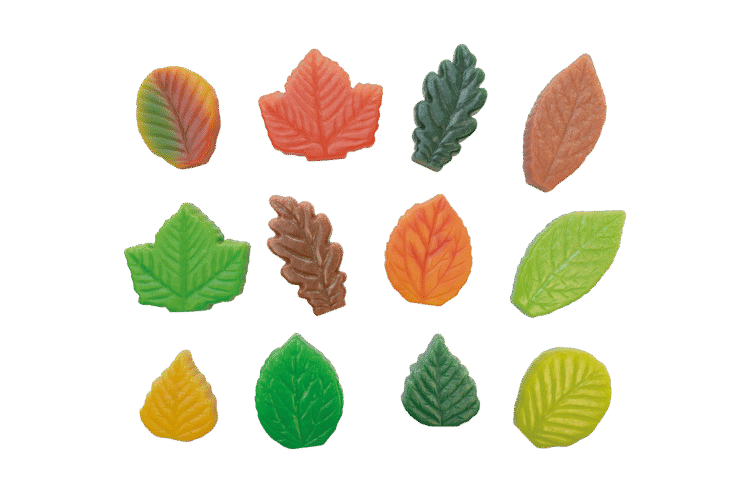 Leaves Sensory Play Stones 12pc
