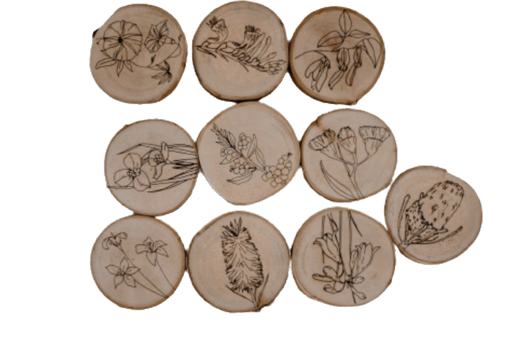 Australian Flora 10pc