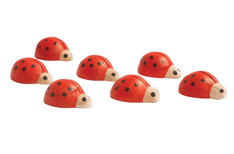 Ladybirds Red & Black 7pc