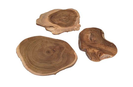 Woodscape Slices
