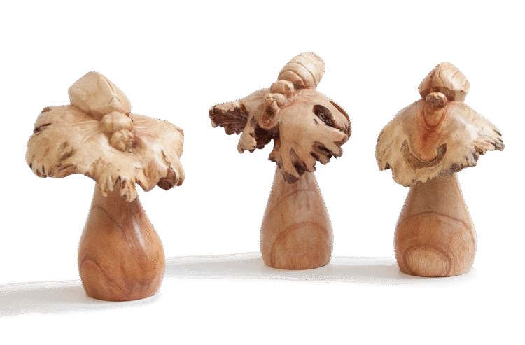 Carved Wood Rose Beetle 3pc