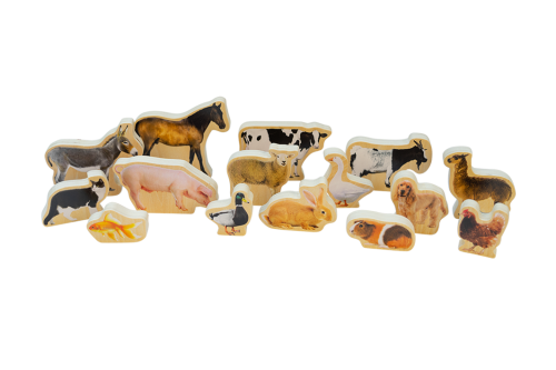 Wooden Domestic Animal Blocks