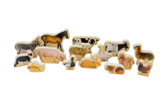 Wooden Domestic Animal Blocks