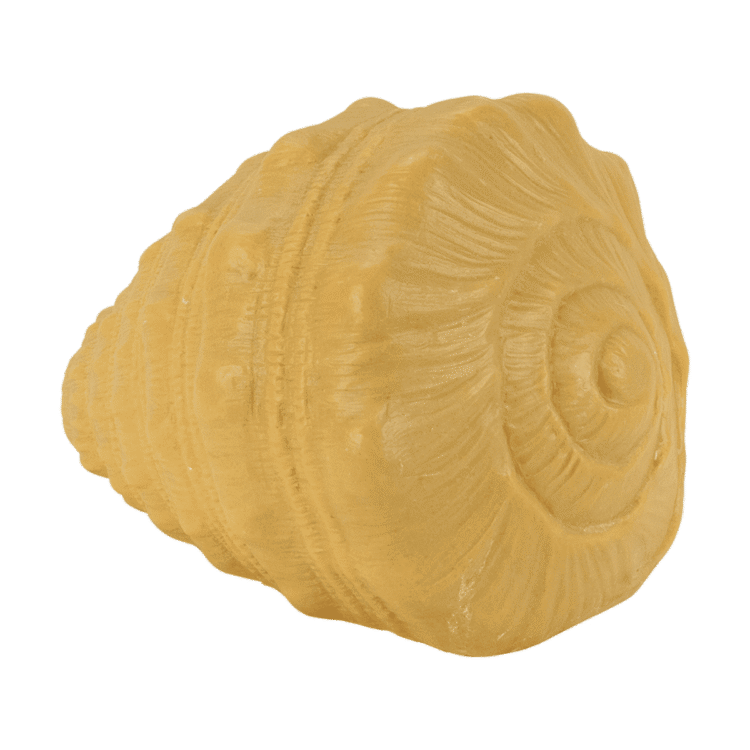 Play Shell
