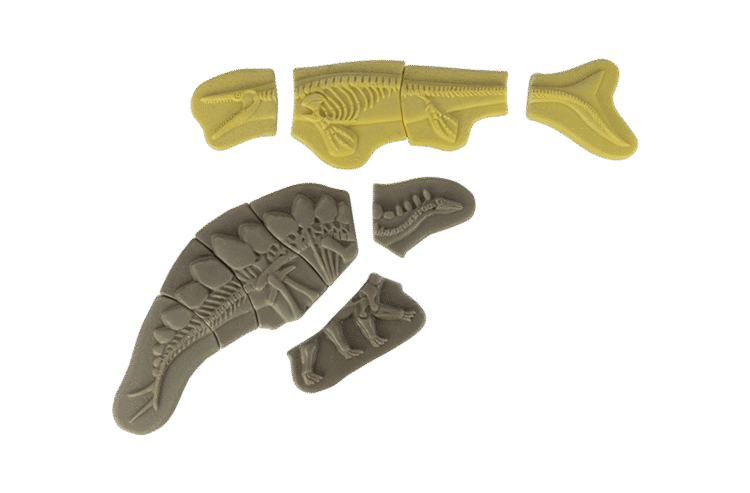 Dig & Discover – Pliosaurus & Stegosaurus