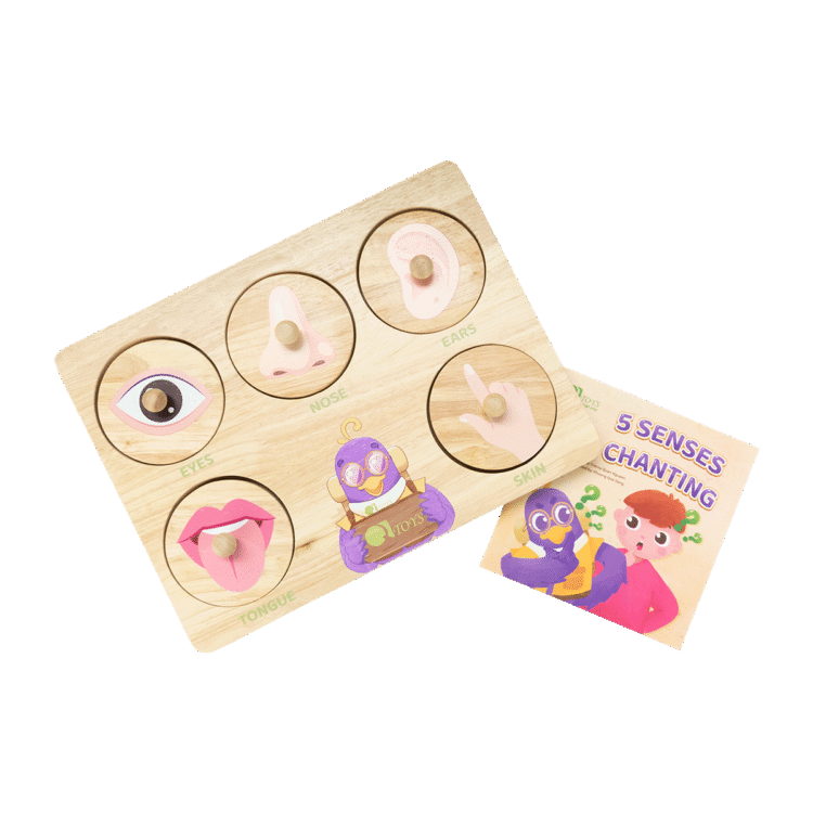 Five Senses Puzzle