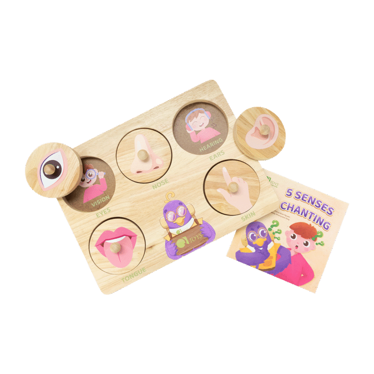 Five Senses Puzzle