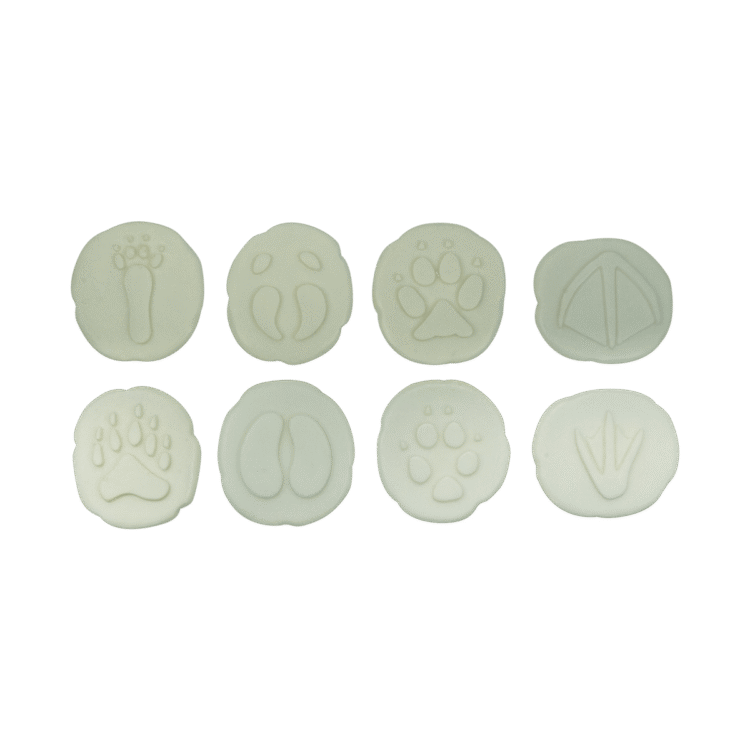 Polar Footprints 8pc