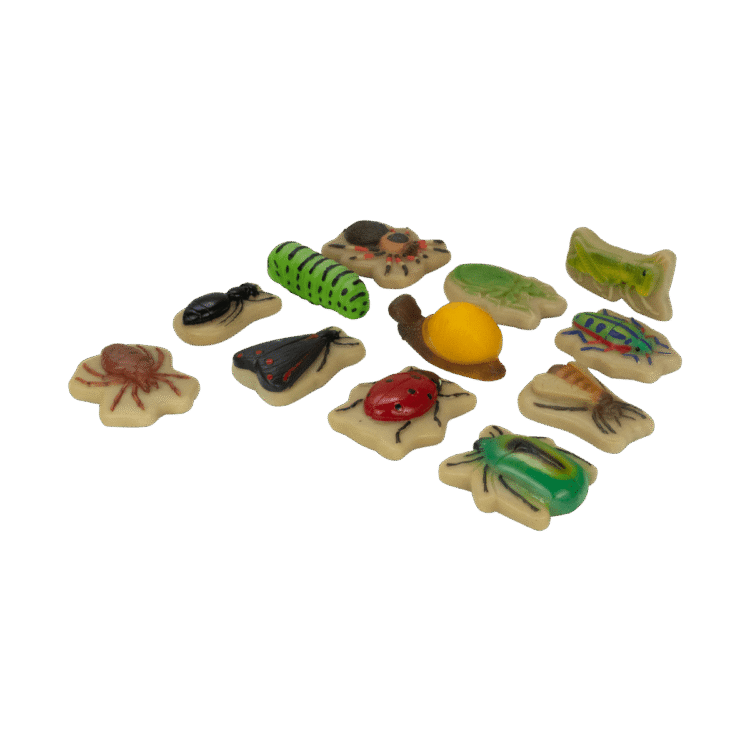 Bug Sensory Play Stones