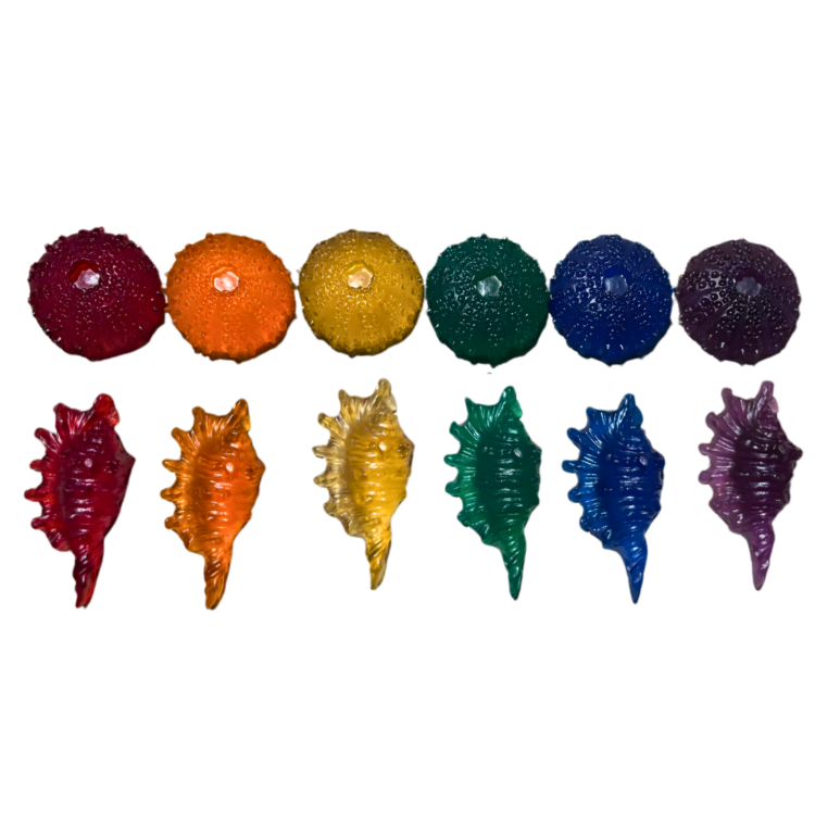 Resin Shells