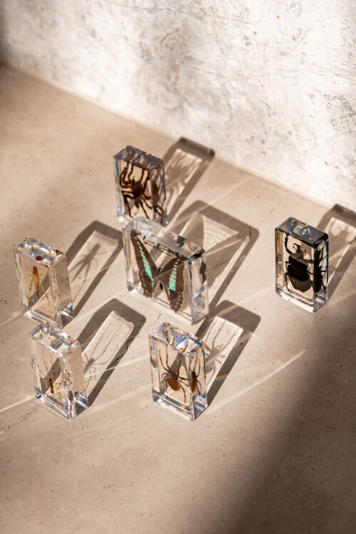 Large Mini Beasts Insects & Spiders Set 15pc