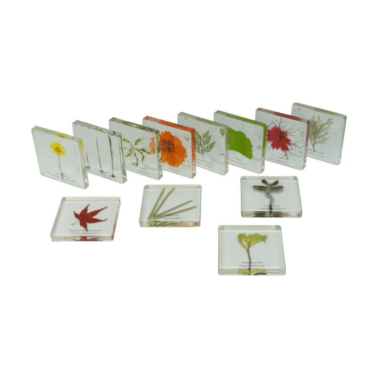 LAMINATED-FEATHERS-PLANTS-LEAVES-22PC