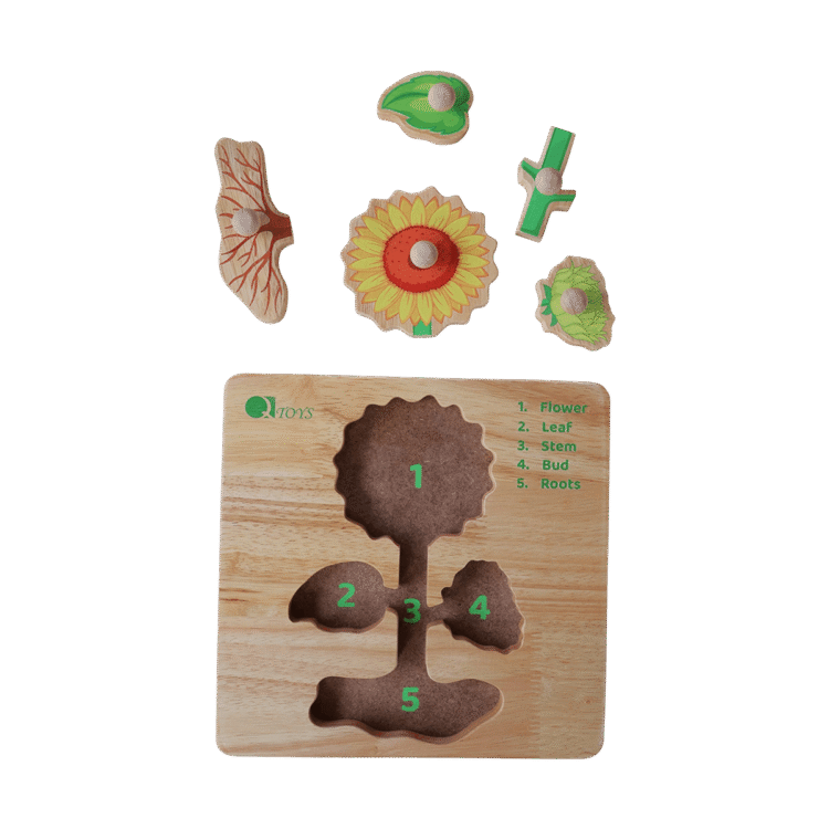 Parts of a Plant Puzzle 5pc