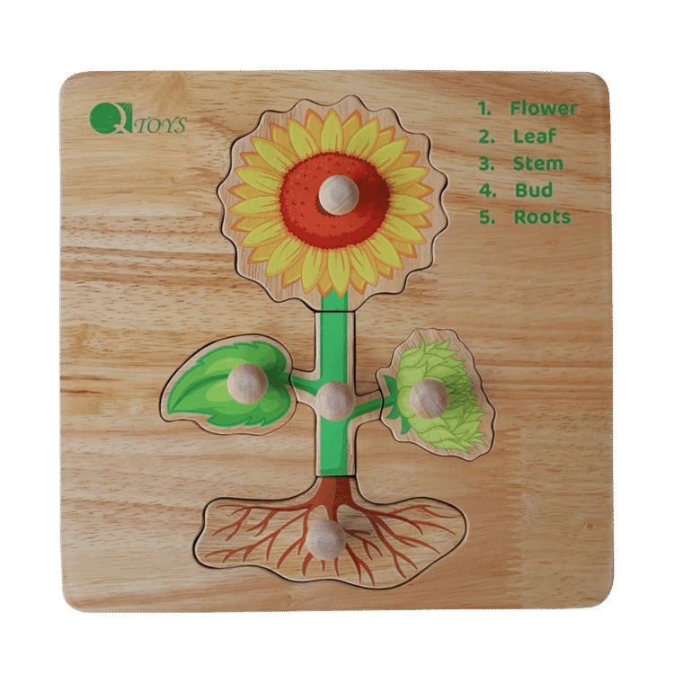 Parts of a plant