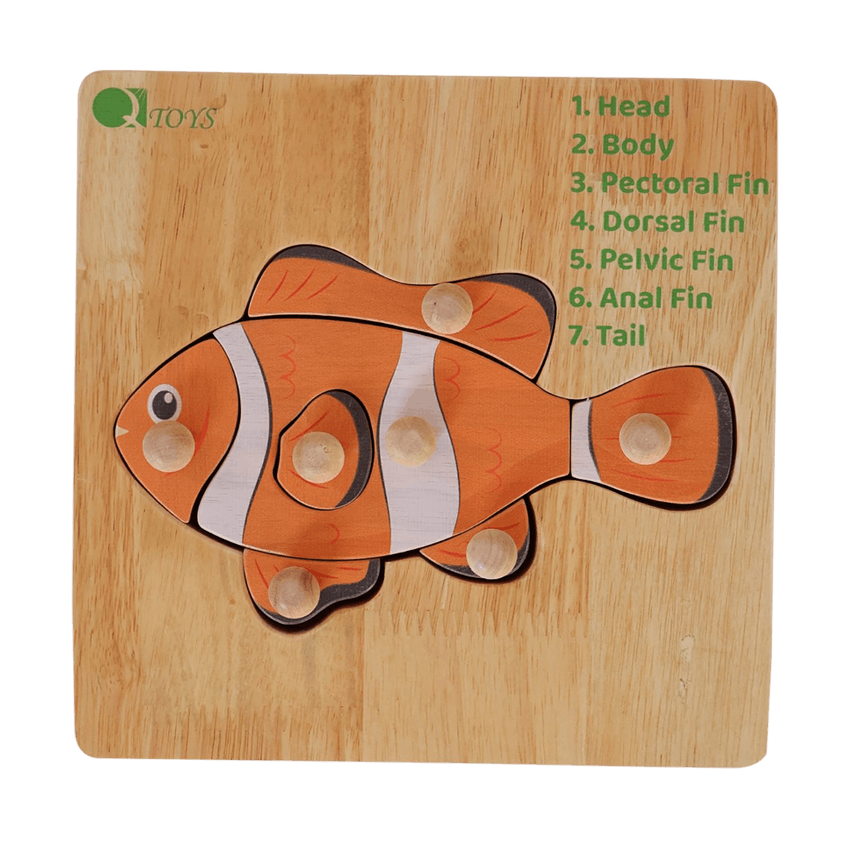 Fish Puzzle