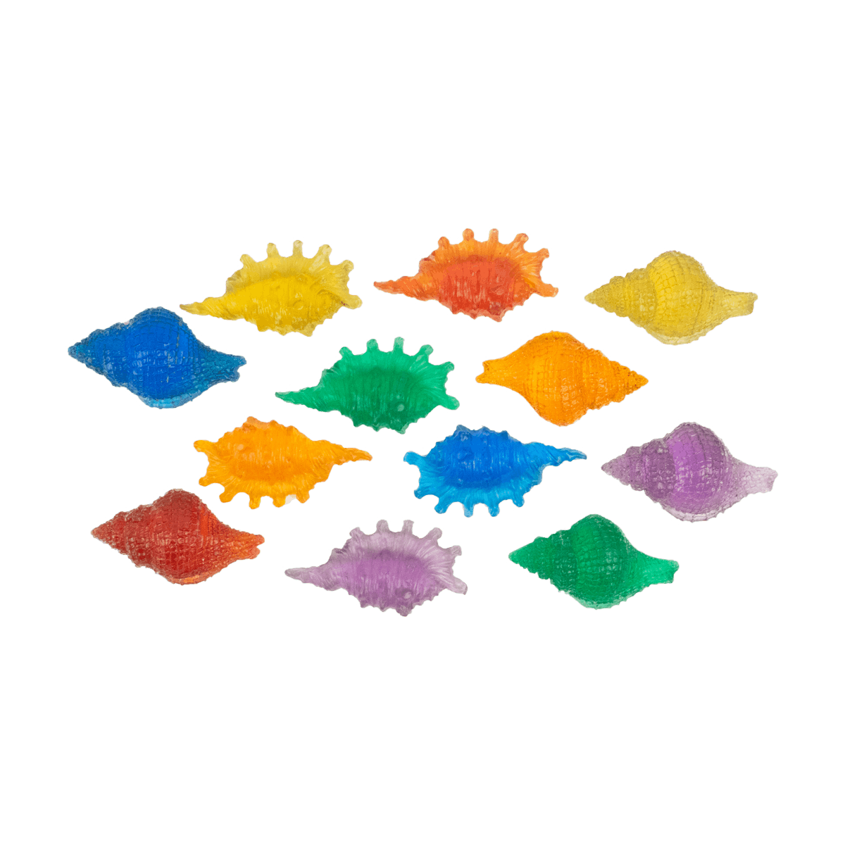 Resin Shells 12pc