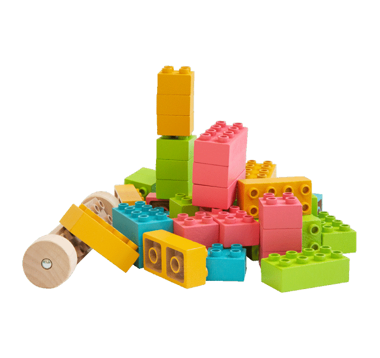 Eco Bricks Colour Plus