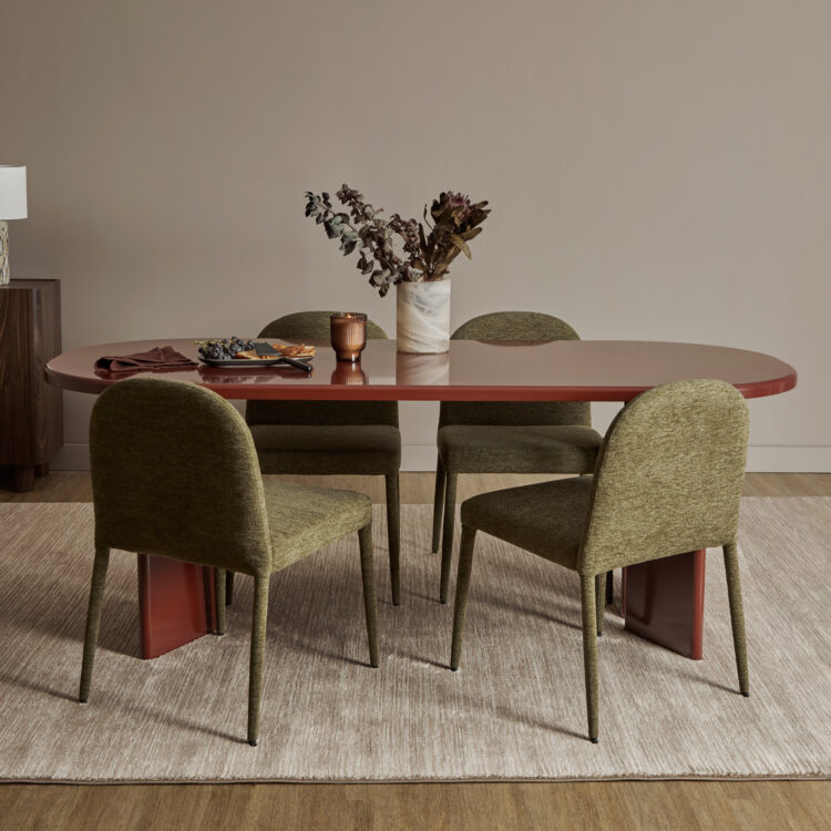 Adult Dining Chairs 2pc