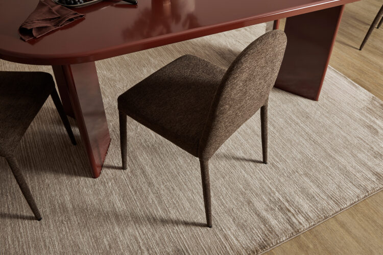 Adult Dining Chairs 2pc