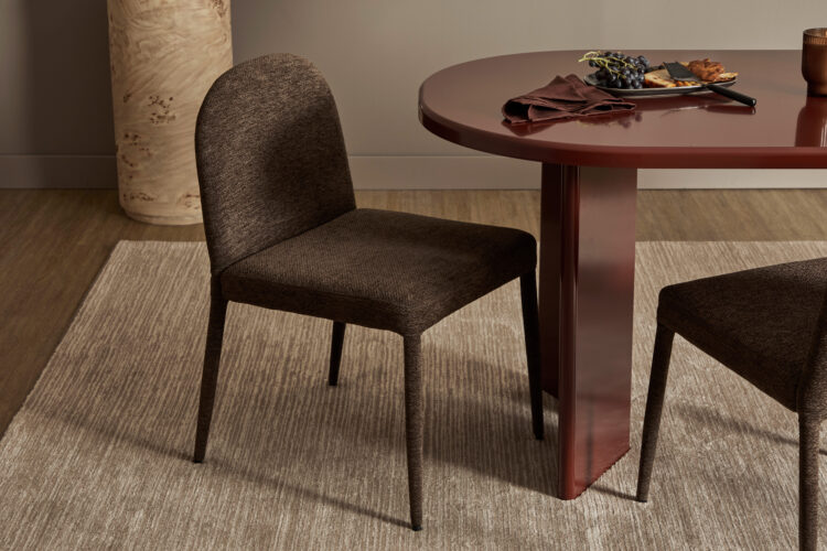Adult Dining Chairs 2pc
