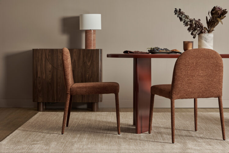 Adult Dining Chairs 2pc