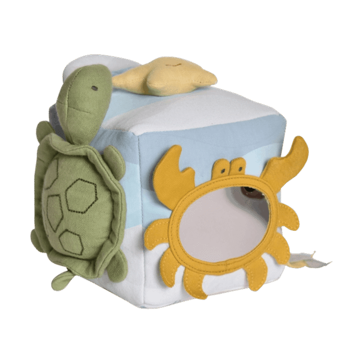 Ocean Organic Activity Cube