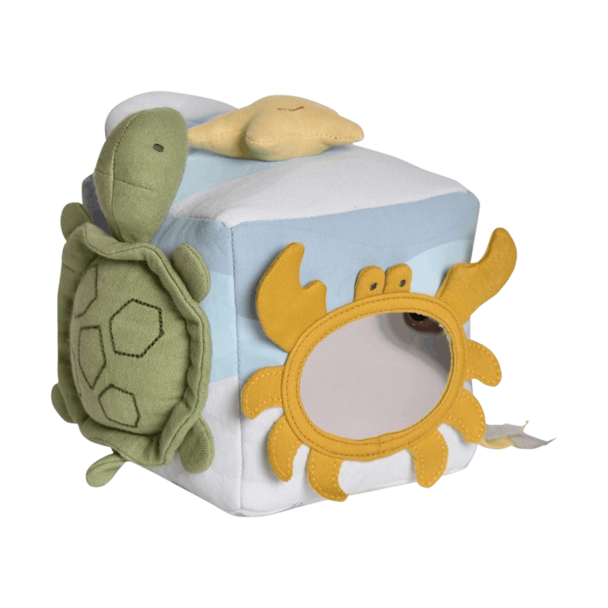 Ocean Organic Activity Cube