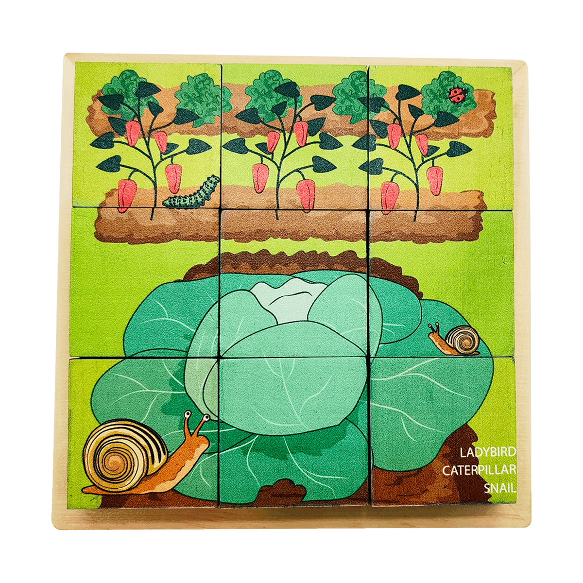 Mini Beasts 6 in 1 Puzzle