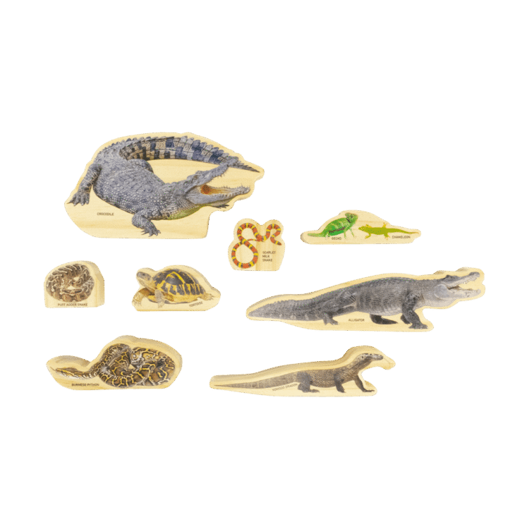 Reptiles Wooden Animal Set