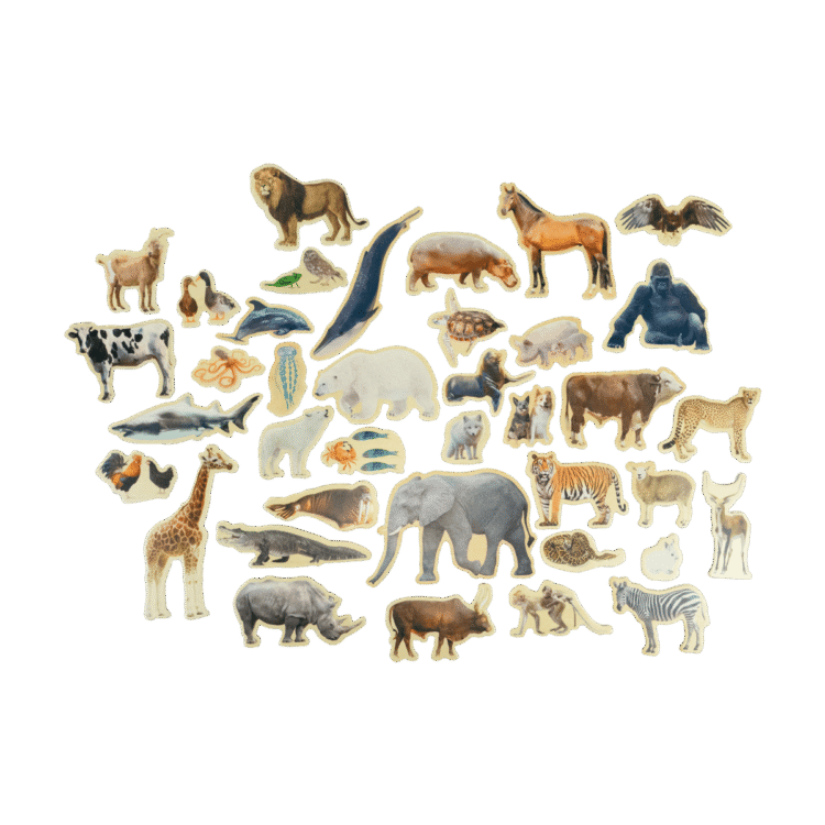 Homes Of The Wild Magnetic Habitat Set