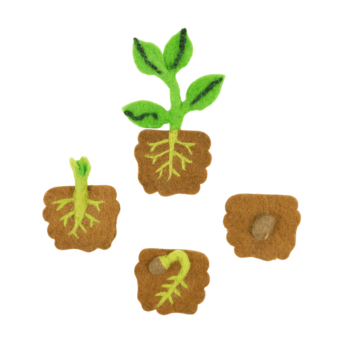 Felt Lifecycle of a Bean Plant