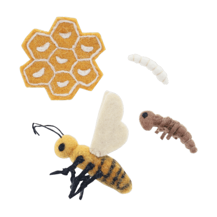 Felt Life Cycle of a Honey Bee