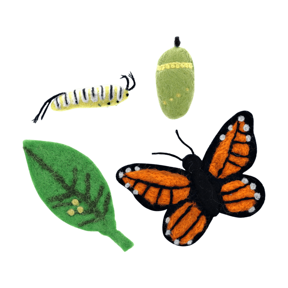 Felt life cycle of a monarch butterfly