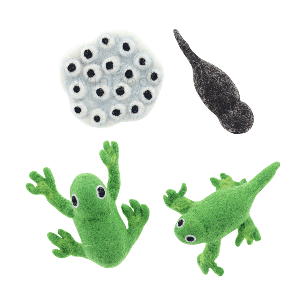 Felt Lifecycle of a Frog