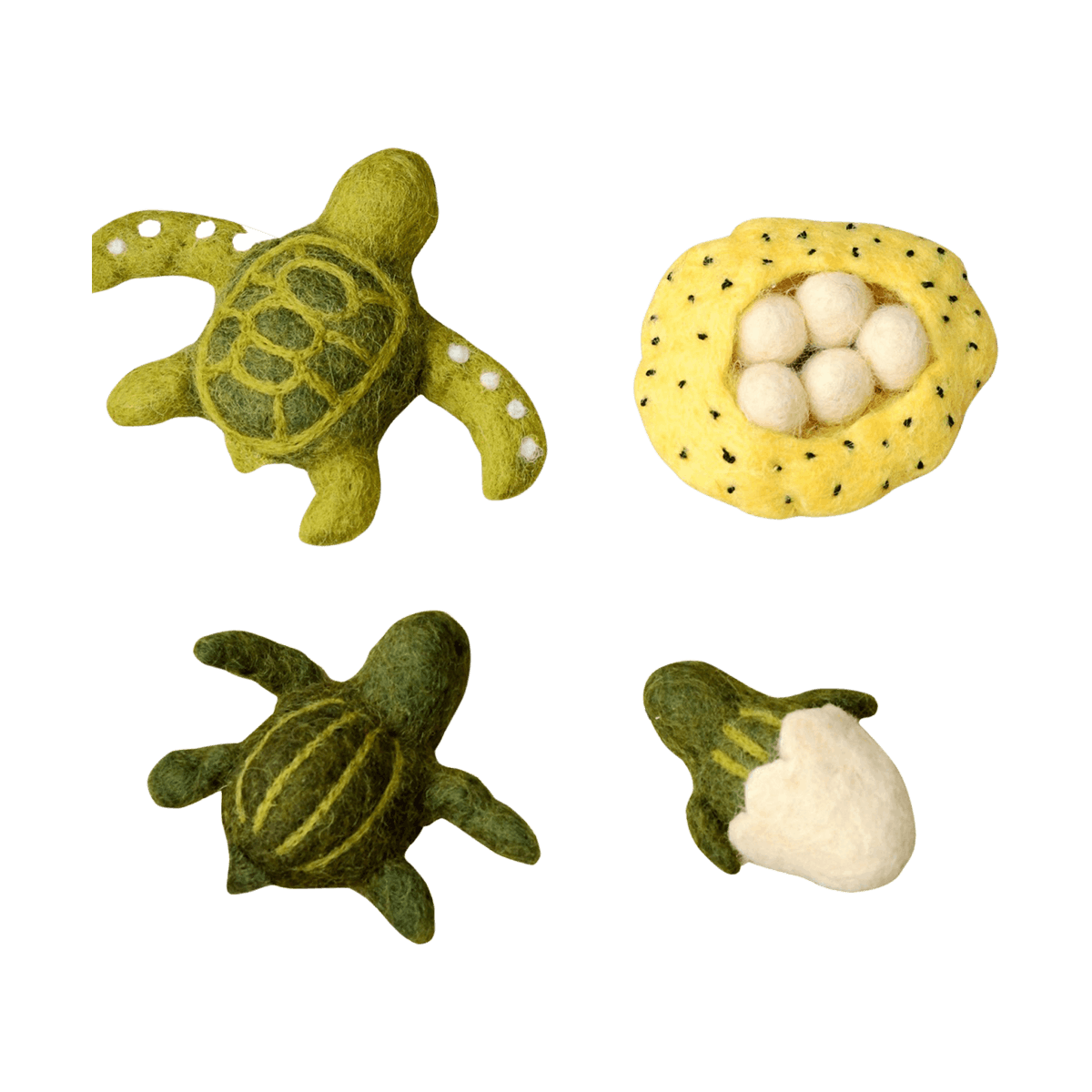 Felt life cycle of a green sea turtle