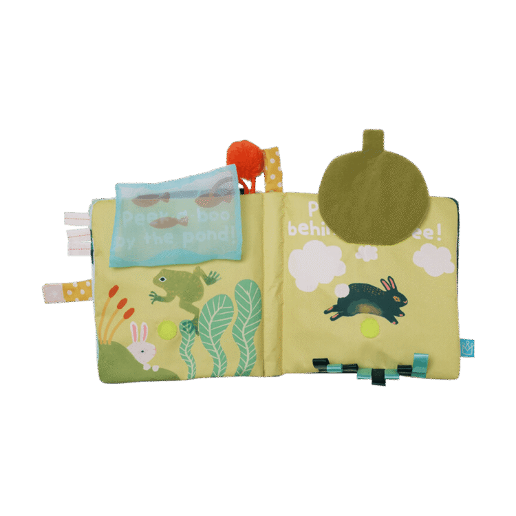 Peek-A-Boo Bunny Soft Book