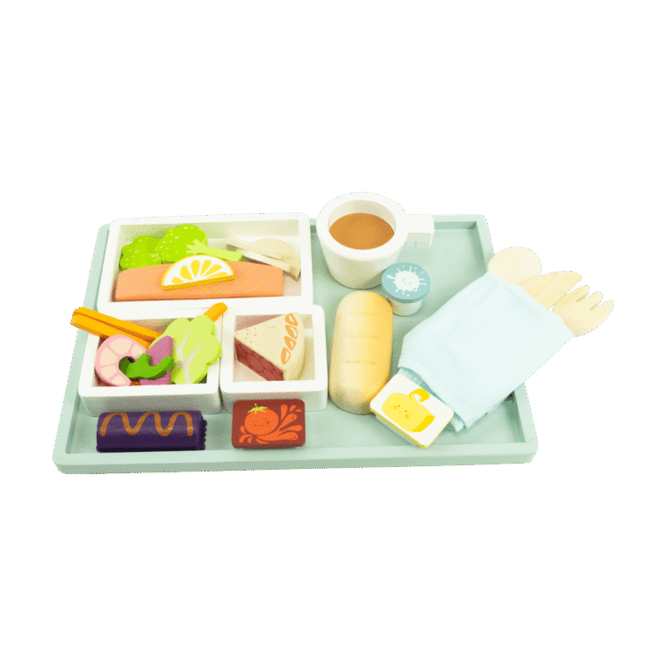 Airline Meal Tray