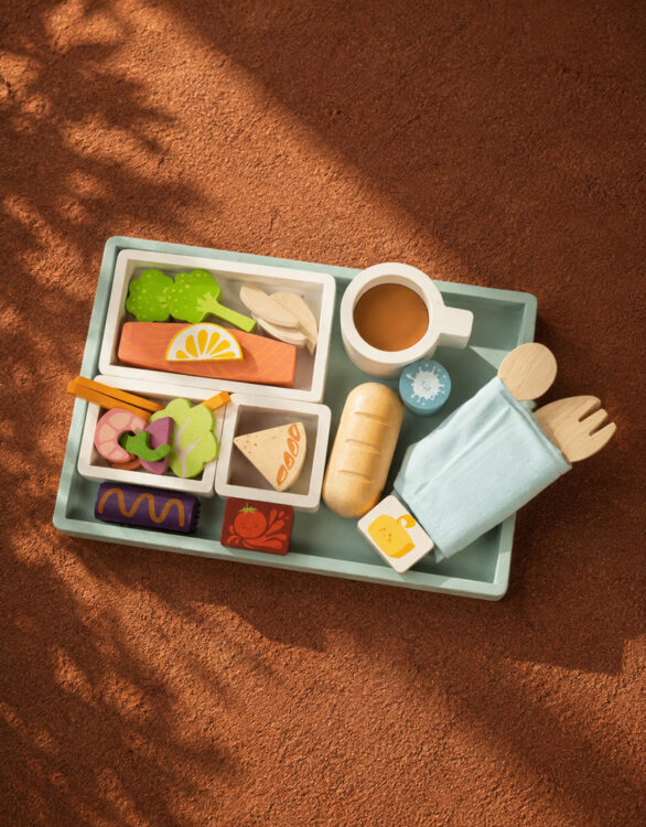Airline Meal Tray
